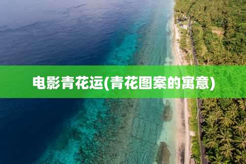 电影青花运(青花图案的寓意)