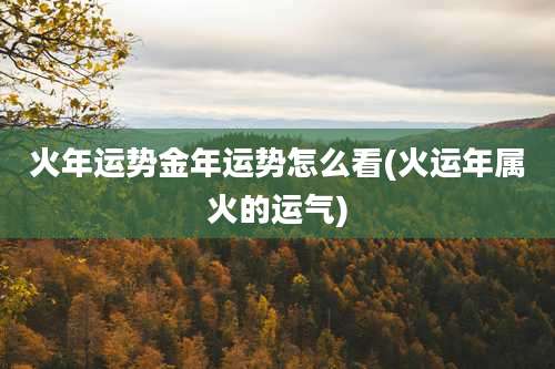 火年运势金年运势怎么看(火运年属火的运气)