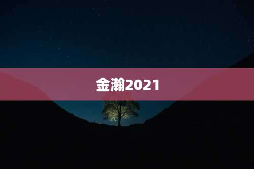 金瀚2021