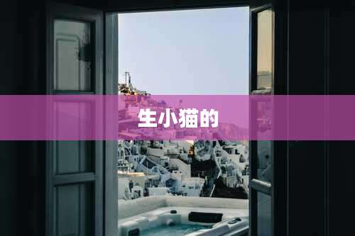 生小猫的