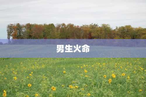 男生火命