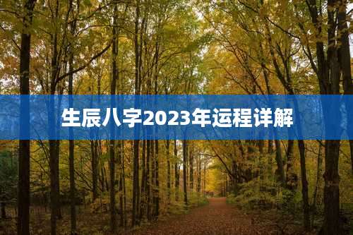 生辰八字2023年运程详解