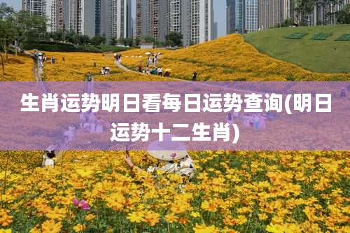 生肖运势明日看每日运势查询(明日运势十二生肖)