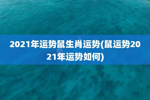 2021年运势鼠生肖运势(鼠运势2021年运势如何)