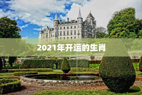 2021年开运的生肖