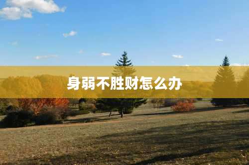 身弱不胜财怎么办
