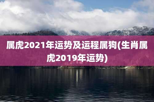 属虎2021年运势及运程属狗(生肖属虎2019年运势)