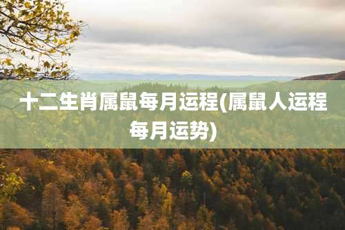 十二生肖属鼠每月运程(属鼠人运程每月运势)