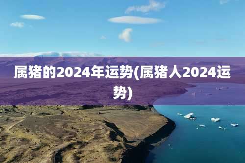 属猪的2024年运势(属猪人2024运势)