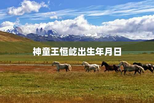 神童王恒屹出生年月日