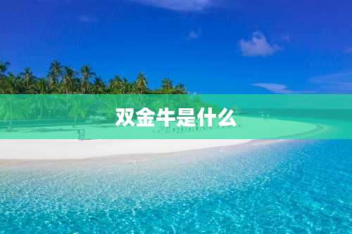 双金牛是什么