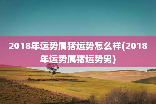 2018年运势属猪运势怎么样(2018年运势属猪运势男)