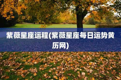 紫薇星座运程(紫薇星座每日运势黄历网)