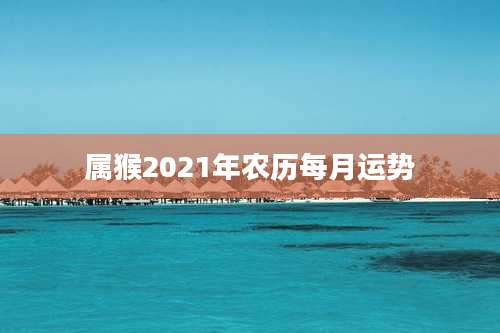 属猴2021年农历每月运势