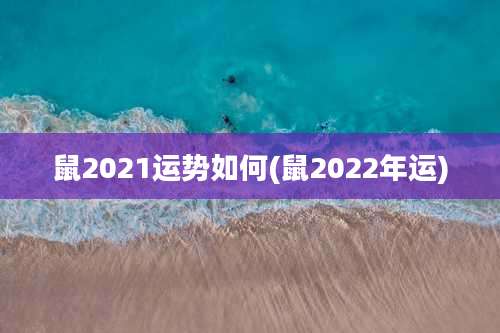鼠2021运势如何(鼠2022年运)