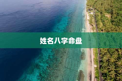 姓名八字命盘