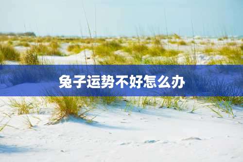 兔子运势不好怎么办