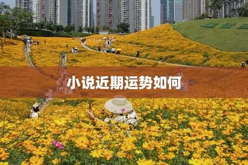 小说近期运势如何