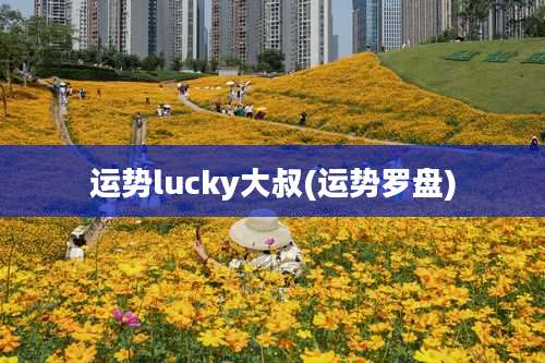 运势lucky大叔(运势罗盘)