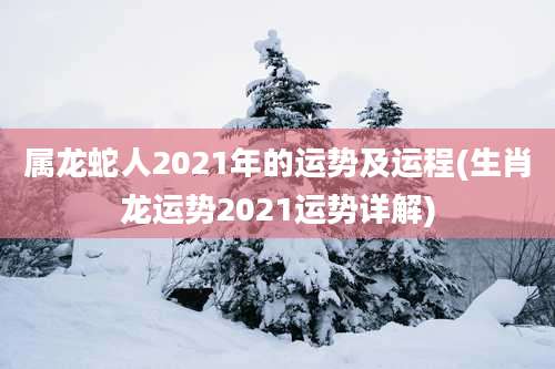 属龙蛇人2021年的运势及运程(生肖龙运势2021运势详解)