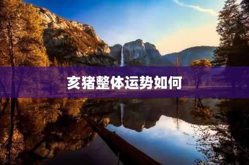 亥猪整体运势如何