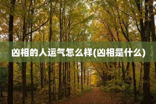 凶相的人运气怎么样(凶相是什么)