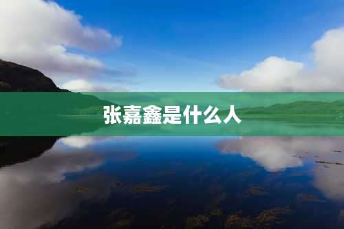 张嘉鑫是什么人