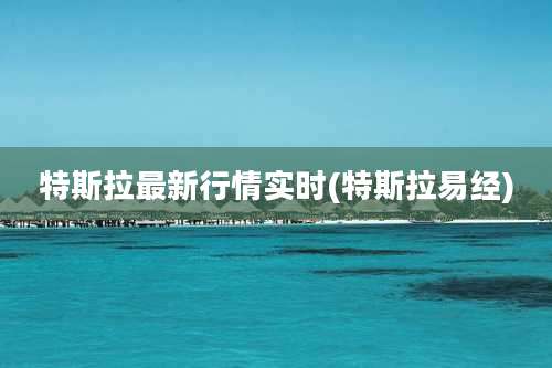 特斯拉最新行情实时(特斯拉易经)