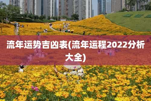 流年运势吉凶表(流年运程2022分析大全)
