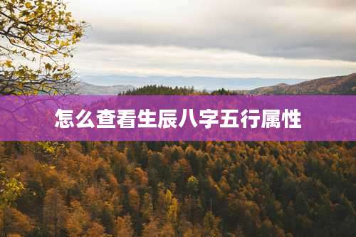 怎么查看生辰八字五行属性