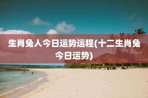生肖兔人今日运势运程(十二生肖兔今日运势)