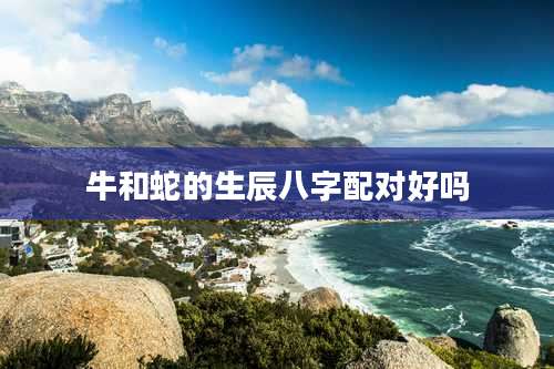 牛和蛇的生辰八字配对好吗
