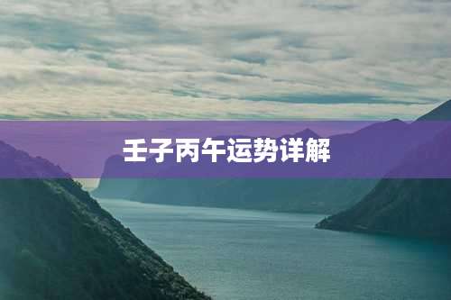 壬子丙午运势详解