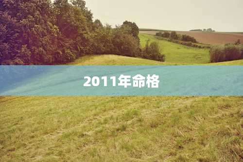 2011年命格