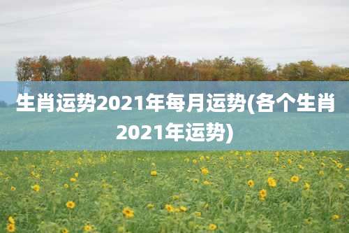 生肖运势2021年每月运势(各个生肖2021年运势)