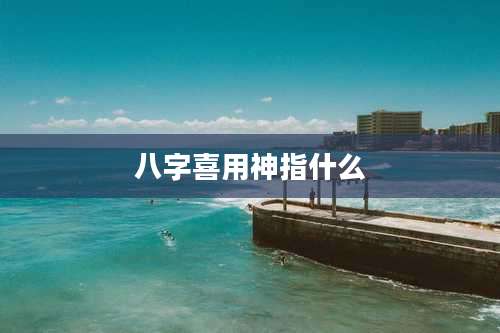 八字喜用神指什么