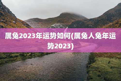 属兔2023年运势如何(属兔人兔年运势2023)
