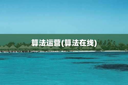 算法运营(算法在线)