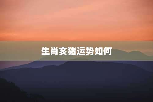 生肖亥猪运势如何