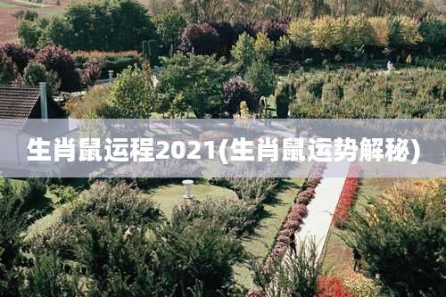 生肖鼠运程2021(生肖鼠运势解秘)