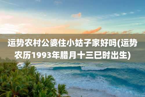 运势农村公婆住小姑子家好吗(运势农历1993年腊月十三巳时出生)