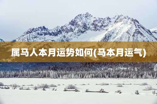属马人本月运势如何(马本月运气)