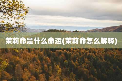 茉莉命是什么命运(茉莉命怎么解释)