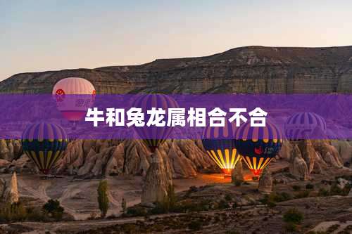 牛和兔龙属相合不合