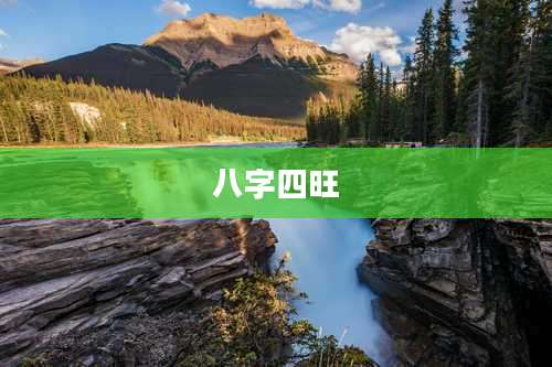 八字四旺