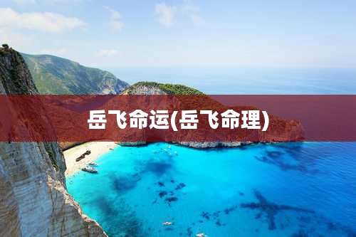 岳飞命运(岳飞命理)