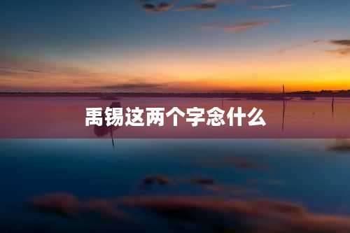 禹锡这两个字念什么