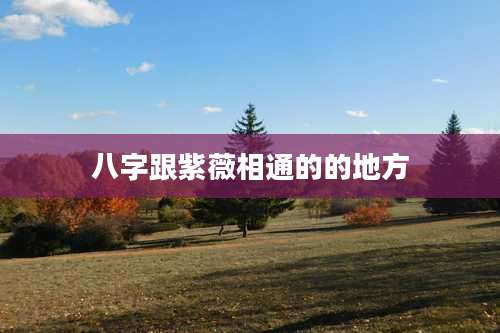 八字跟紫薇相通的的地方