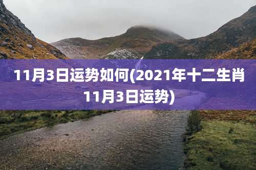 11月3日运势如何(2021年十二生肖11月3日运势)