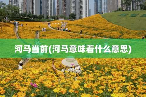 河马当前(河马意味着什么意思)